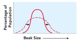 <p>This is an example of?</p>