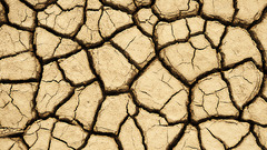 dry