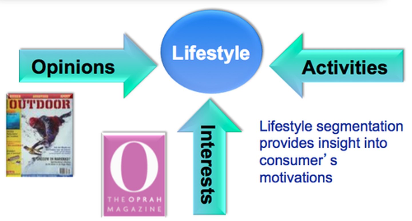 <p>The study of consumers based on their psychological attributes, including values, interests, and lifestyles.</p>