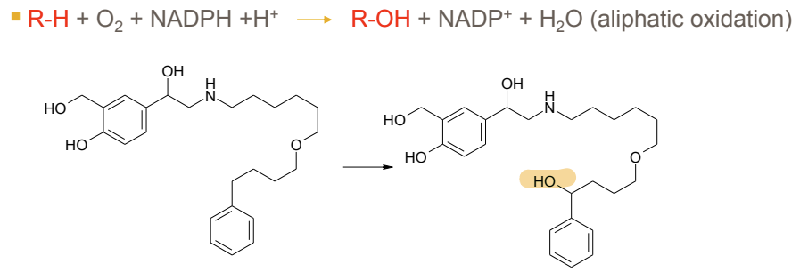 <p>R-H + O2 + NADPH + H+ → R-OH + NADP+ + H2O</p><p><em>The drug (R-H) binds to </em><strong><em><mark data-color="yellow" style="background-color: yellow; color: inherit">CYP450’s heme iron (Fe³⁺)</mark></em></strong><em>, displacing a water molecule, where </em><strong><em><mark data-color="yellow" style="background-color: yellow; color: inherit">NADPH </mark></em></strong><em><mark data-color="yellow" style="background-color: yellow; color: inherit">donates electrons (via NADPH-cytochrome P450 reductase)</mark> reducing the complex to complex to Fe³⁺–O₂⁻ which can be protonated <mark data-color="yellow" style="background-color: yellow; color: inherit">highly reactive iron-oxo species</mark> which removes the inital R-H creating a </em><strong><em><mark data-color="yellow" style="background-color: yellow; color: inherit">carbon radical (R•)</mark></em></strong><em> on the drug, quickly recombines with the Fe³⁺–OH oxygen, forming R-OH (the hydroxylated product).</em></p>