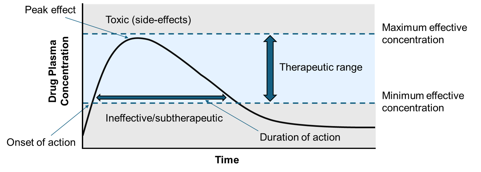<p>Therapeutic range </p>