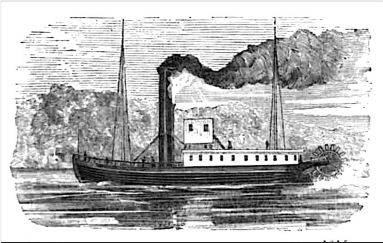 knowt flashcard image