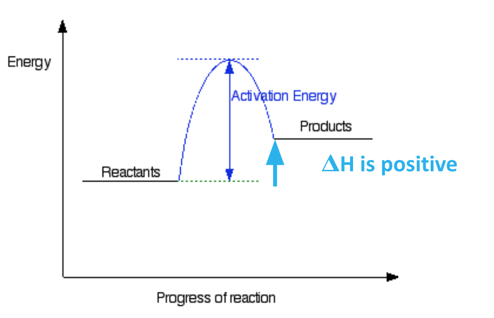 <p>a reaction in which heat energy is taken in</p>