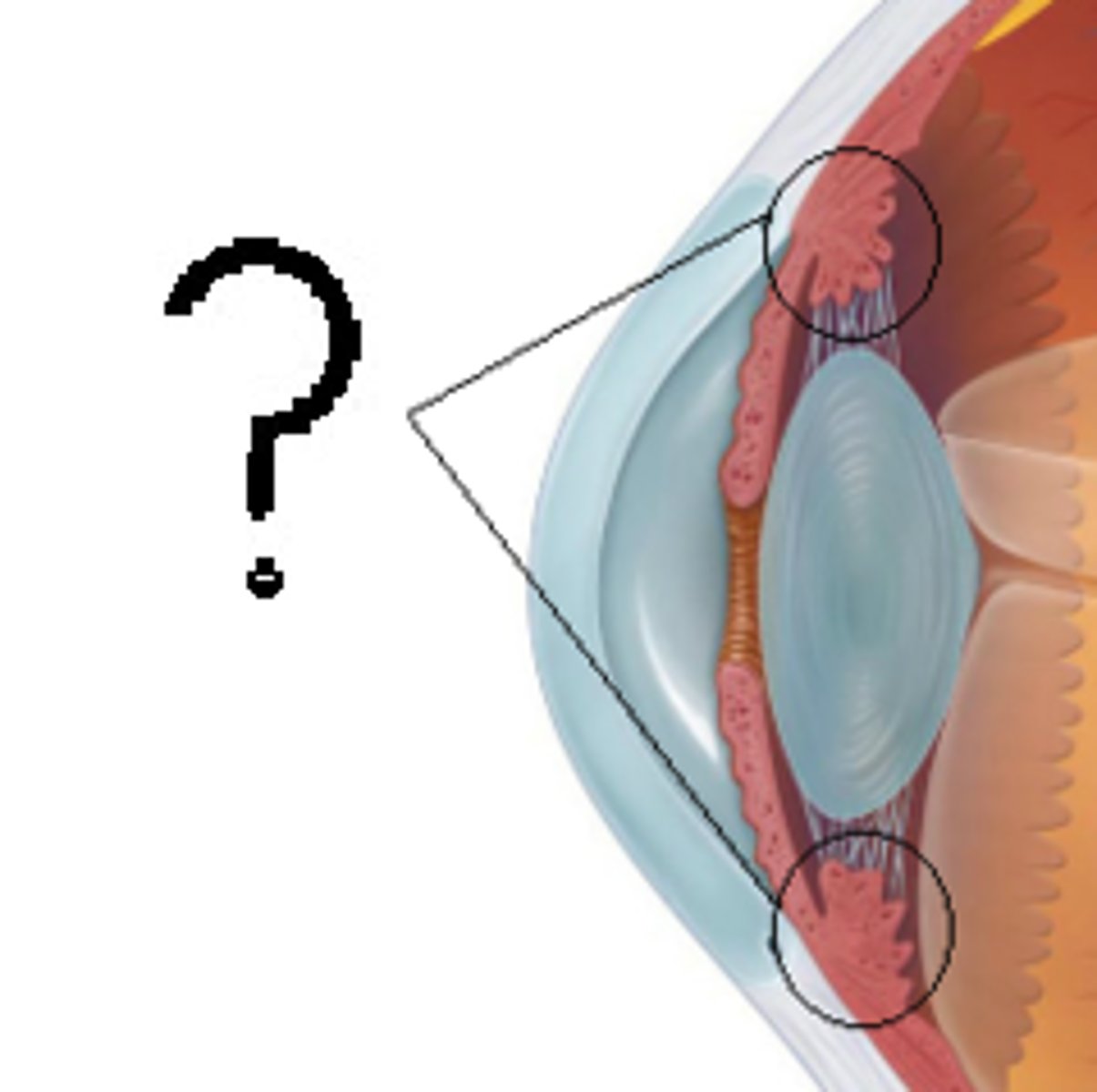<p>What is this structure?</p>