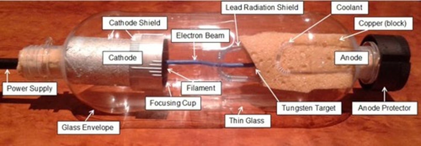<p>1. Tube (source of X-rays). 2. Image receptor/detector. 3. Erect and supine positions for patients.</p>