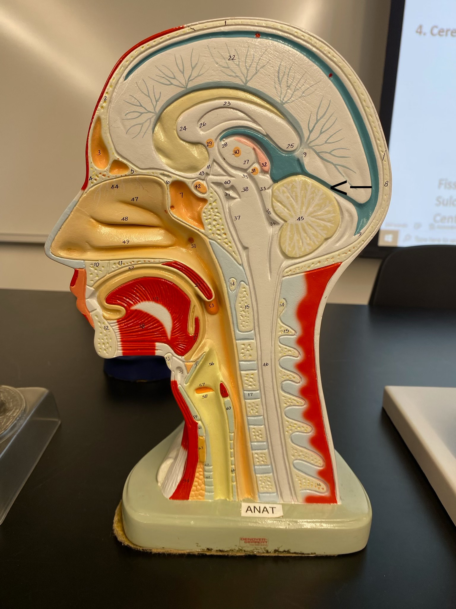 <p>ID structure</p>