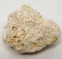 <p>This rock is usually light brown in color, and contains fossils within it. It is a biochemical rock due to the presence of the fossils. It has typically a medium grain size.</p>