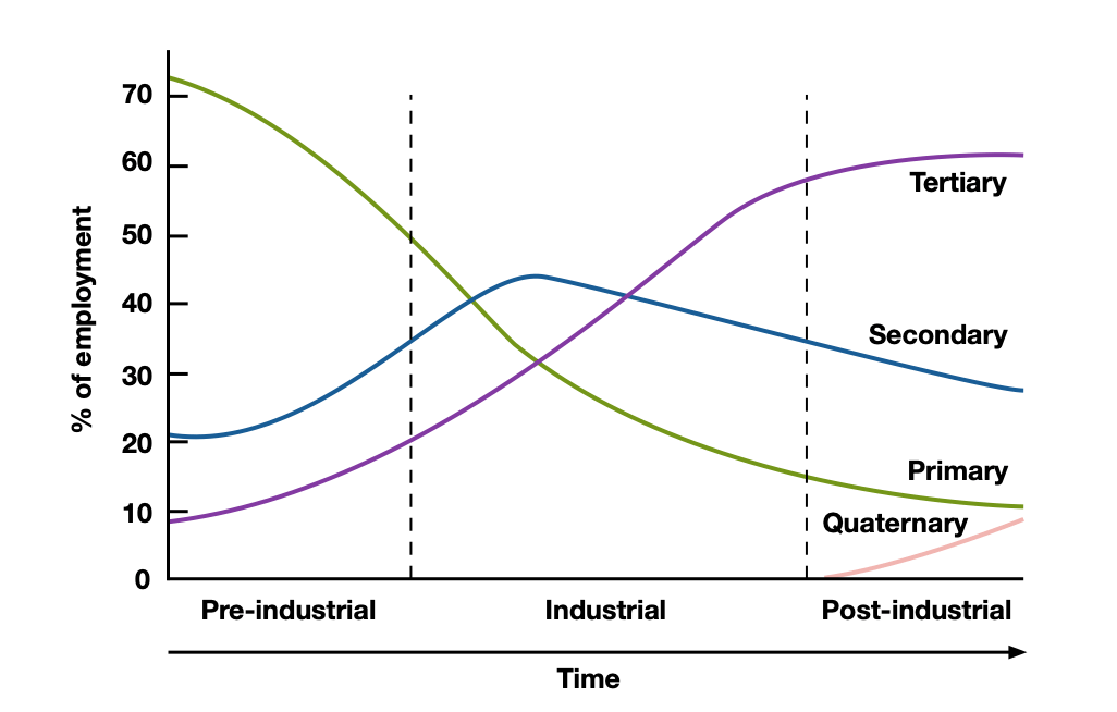 <ul><li><p>Shows the percentage of jobs across the four work sectors.</p></li><li><p>Primary sector is agriculture.</p></li><li><p>Secondary sector is manufacturing.</p></li><li><p>Tertiary sector provides services for people (retail)</p></li><li><p>Quaternary sector is subject-specific jobs (IT)</p></li><li><p>LICs are heavily pre-industrial, while HICs like London are heavily post-industrial. </p></li></ul><p></p>