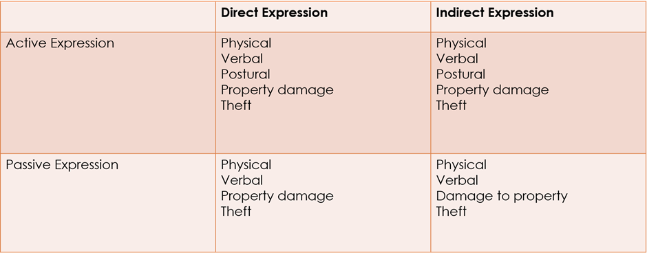 <p><span style="font-family: Aptos, sans-serif">split aggressive behaviour in four types, based on two dimensions, active vs passive and direct vs indirect</span></p>