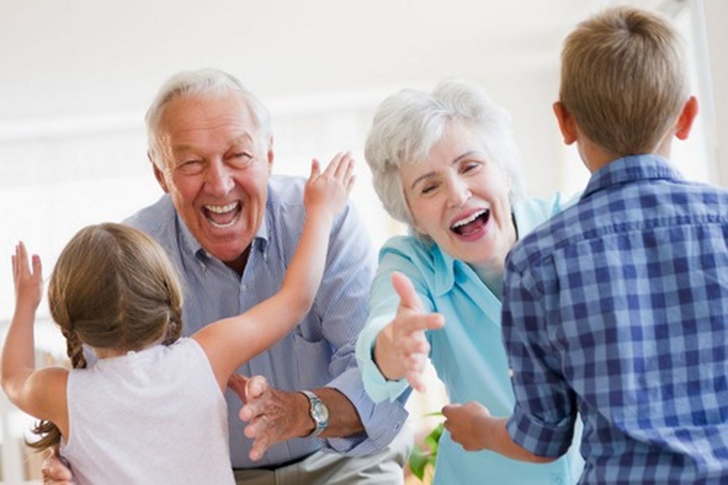 <p>grandparents</p>