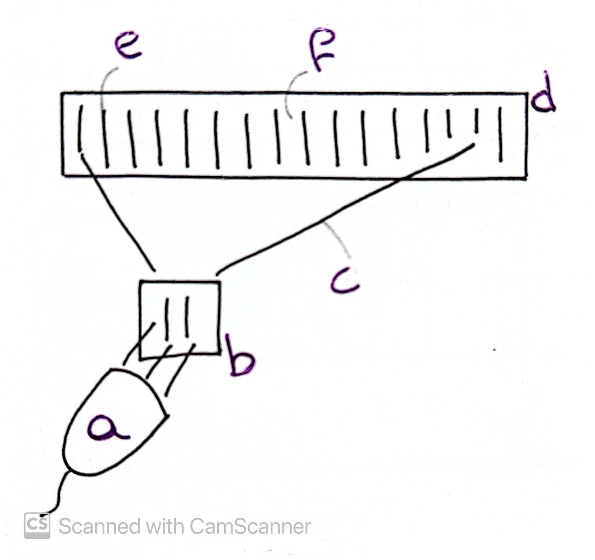 <p>Label This Diagram</p><p><em>Optical Interference</em></p>