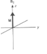 <p>There will be net alignment of nuclei in direction of field (z axis) and nuclei will favour lower energy state</p><img src="blob:chrome-untrusted://media-app/064e620a-d410-454b-9d39-cd0669786829" data-width="100%" data-align="center" alt="Screenshot 2025-10-05 01.48.09.png"><p></p>
