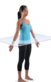 <p>Divides the body horizontally into superior and inferior parts.</p>