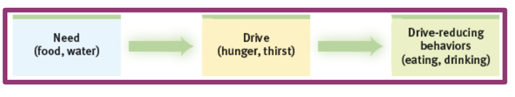 <p>physiological needs (such as food or water) create an aroused, motivated state—a drive (such as hunger or thirst) that pushes us to behave in a way that reduces the needd and returns the body to homeostasis</p>