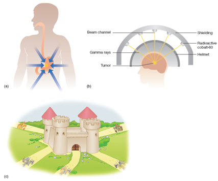 <p>30% of participants who read the fortress problem could now do the radiation problem (as opposed to 10%)</p>