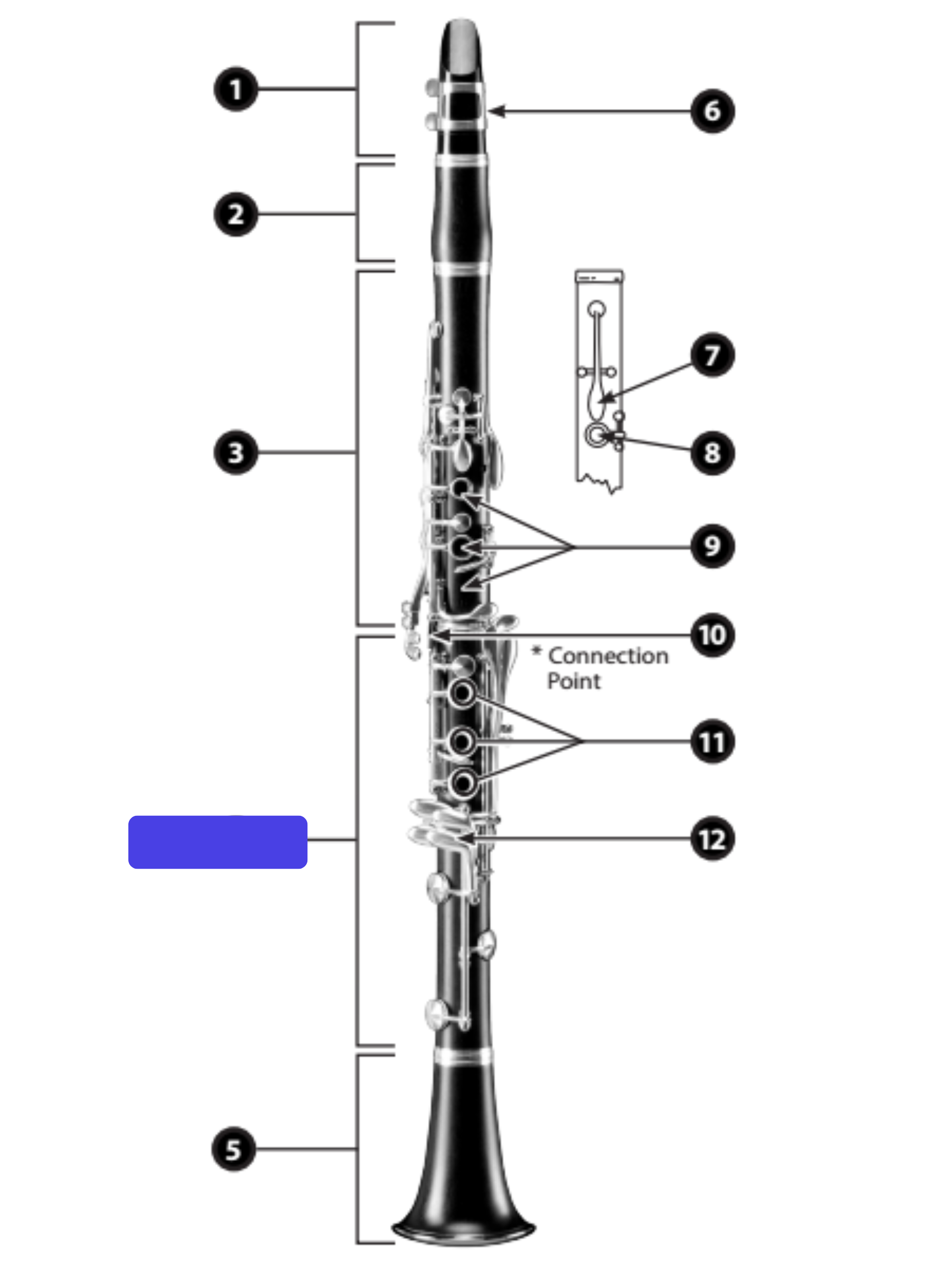 knowt flashcard image