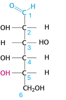 <p>which glucose form is this?</p>
