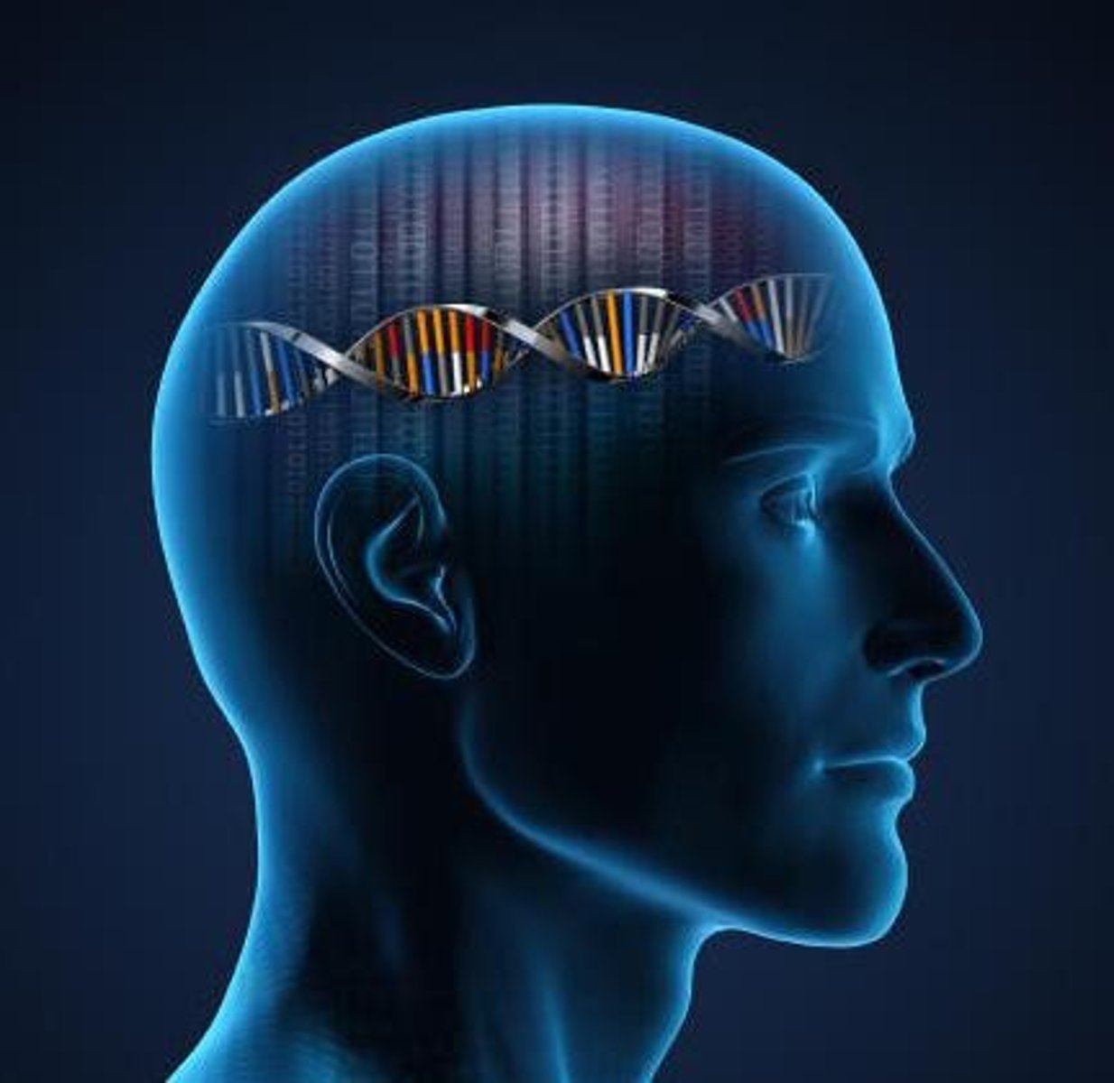 <p>Criminals are pre-programmed through their DNA, suggesting a genetic predisposition to criminal behavior.</p>