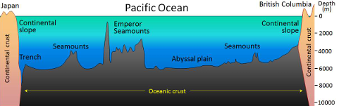 <p>= Sea Floor / Abyssal Plain </p><ul><li><p>Seamounts, guyots, hills</p></li><li><p>Mid-oceanic ridge, trenches, channels</p></li><li><p>Hydrothermal vents </p></li><li><p>- “Black” Smokers </p></li></ul><p></p>