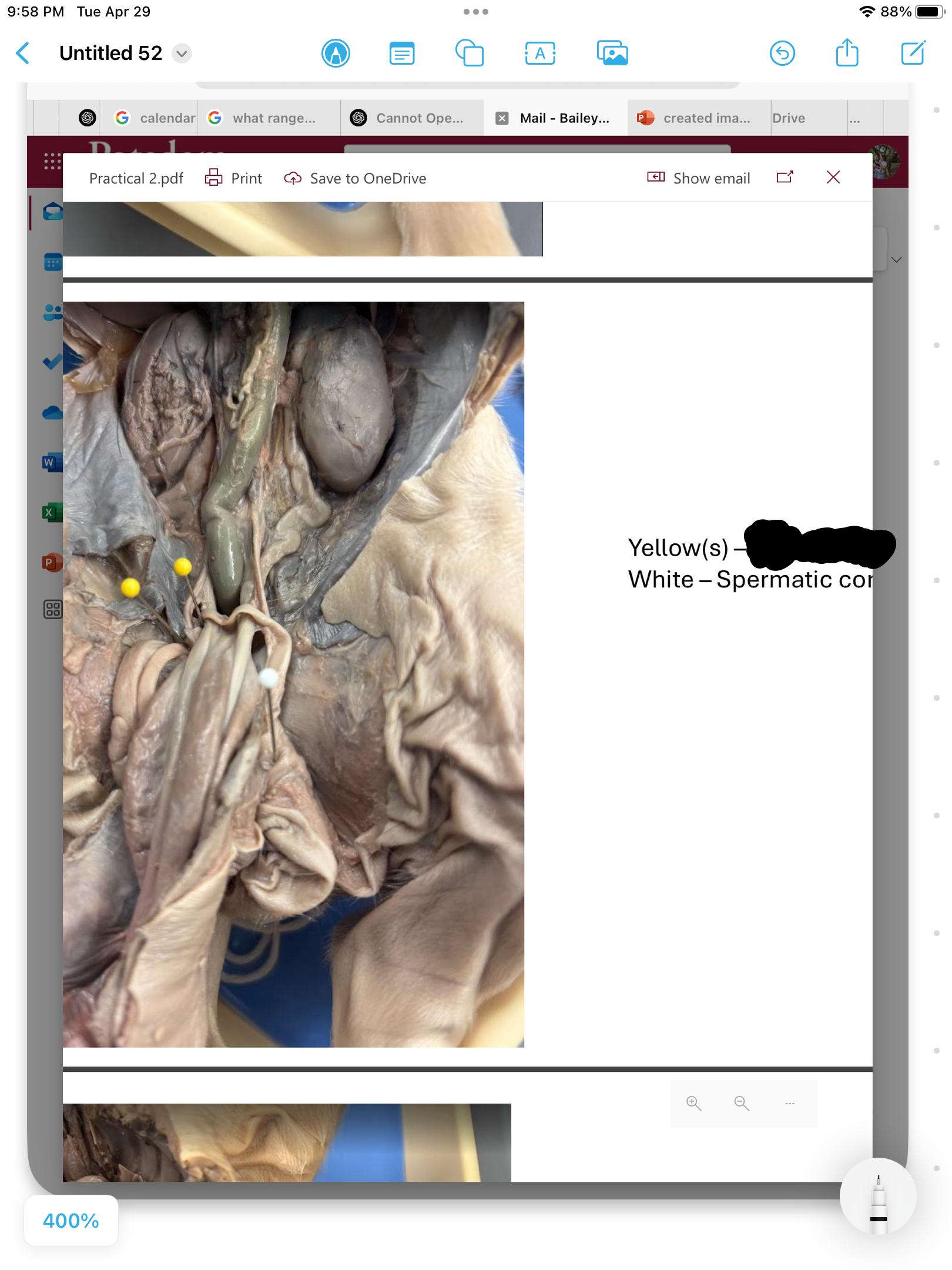 <p>label the area</p>