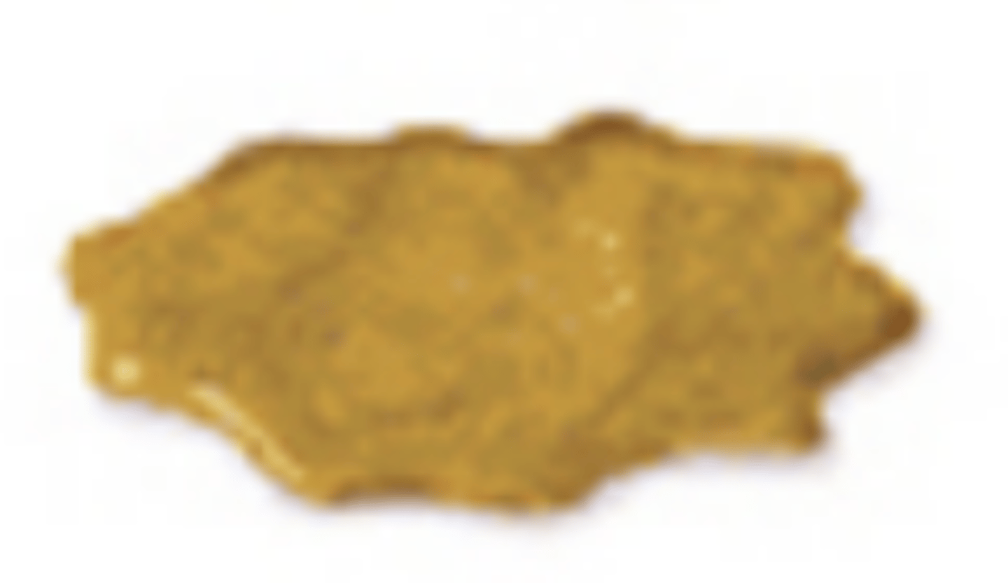 <p>liquid consistency w/ no solid pieces</p><p>- inflammation</p>
