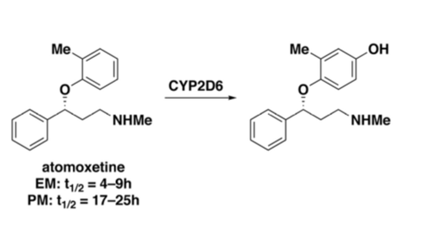<p>CYP2D6</p>