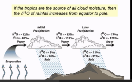 <p>Describe this image:</p>