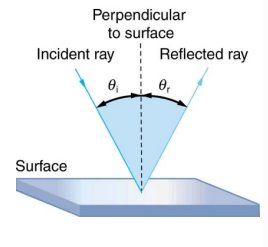 <p>reflections of waves</p>