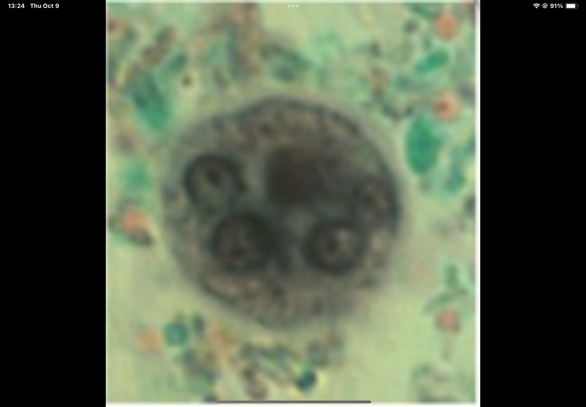 term image