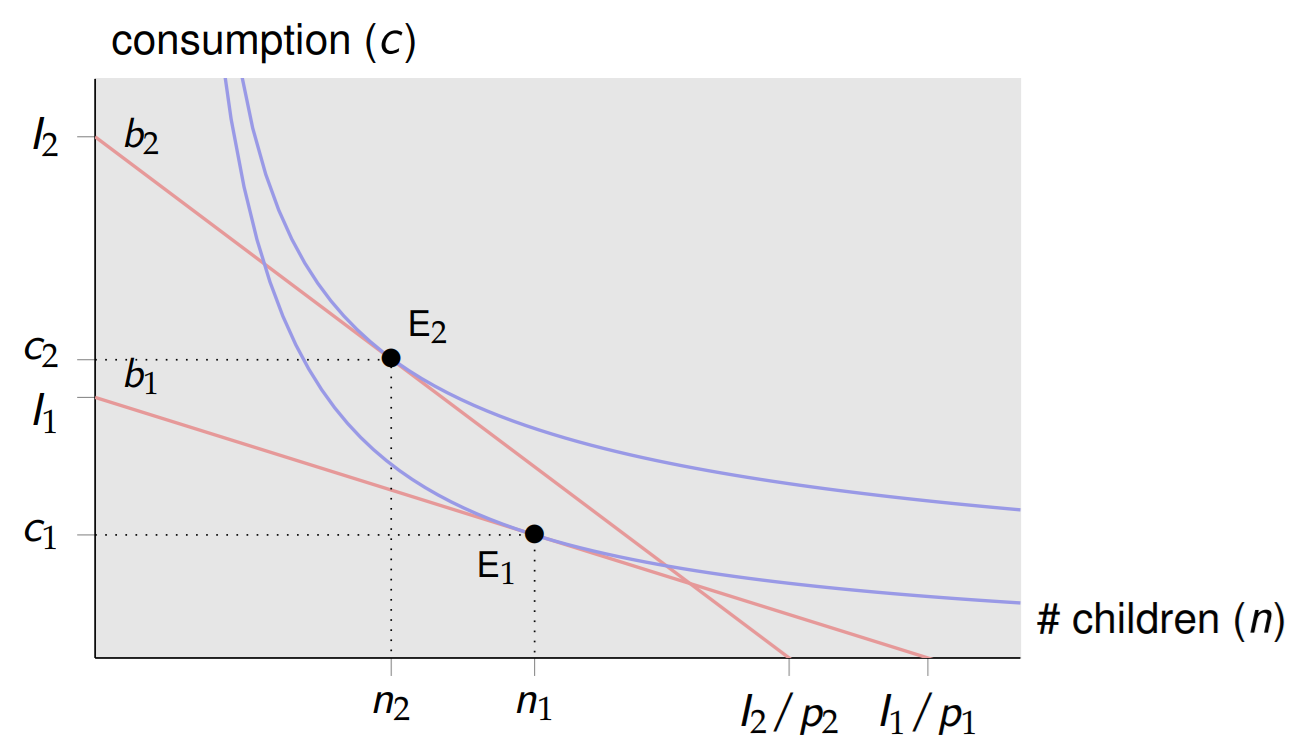 <p>Fertility decisions</p>