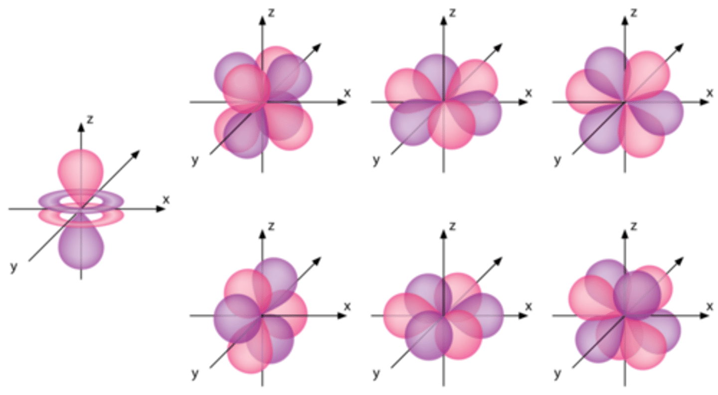 <p>7 orbitals (14 electrons)</p>