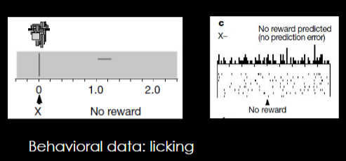 <p>Test phase X. Does the Monkey learn that X predicts reward?</p>