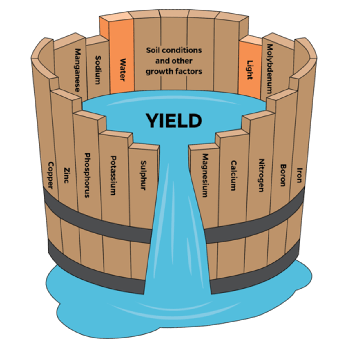 <p>Distribution &amp; abundance of a species determined by environmental factor for which it has narrowest tolerance range.</p>