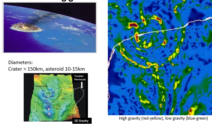 <p>The Chicxulub crater aka ‘the smoking gun’</p>