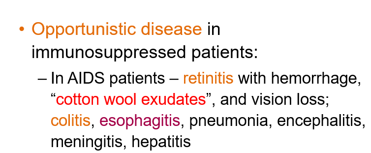 <ul><li><p><strong>Cotton wool exudates</strong></p></li><li><p><strong>Retinitis</strong> (with hemorrhage) and vision loss</p></li><li><p><strong>Colitis</strong></p></li></ul><p></p>