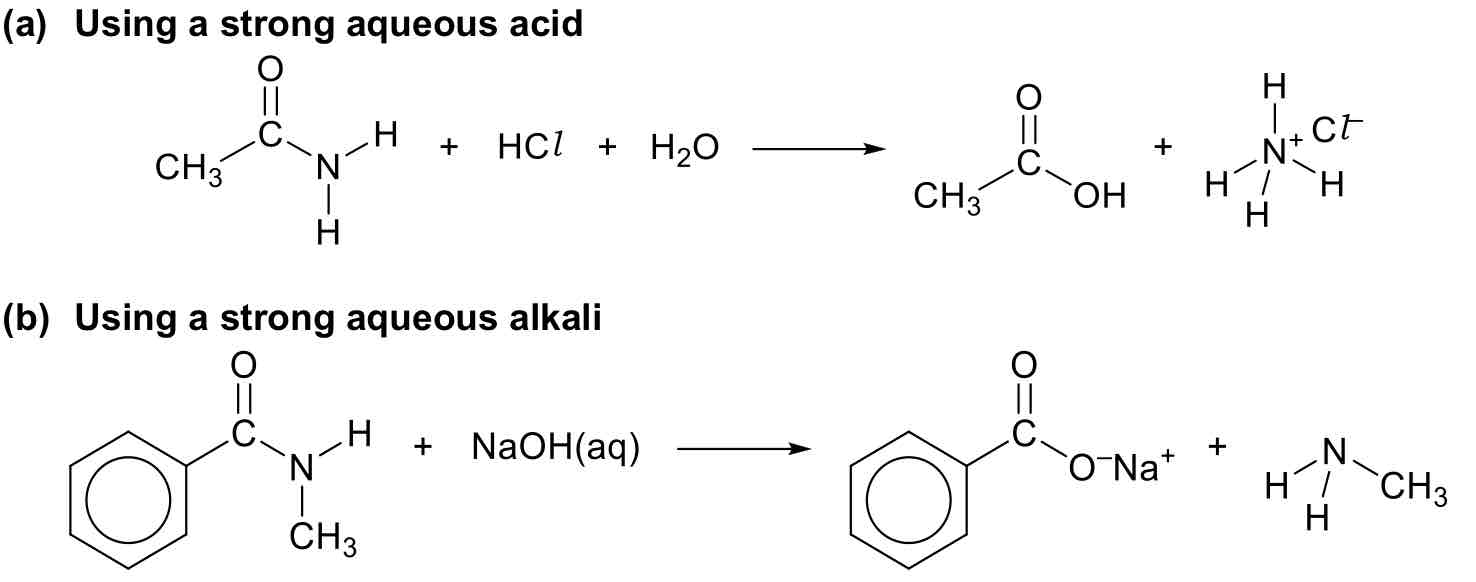 <p>Hydrolysis of Amides</p>