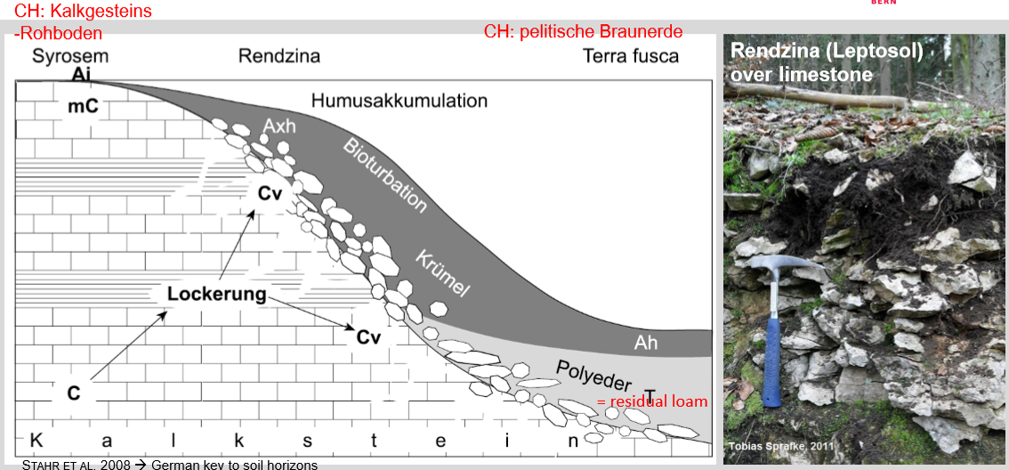 <p>Limestone mainly calcium-carbonate</p><p>Karst, Limestone is dissolved, some dirt in there</p><p>Brown clay takes lot of time</p><p>Residual loam is what remains when limestone dissolves, mainly formed by clay</p>