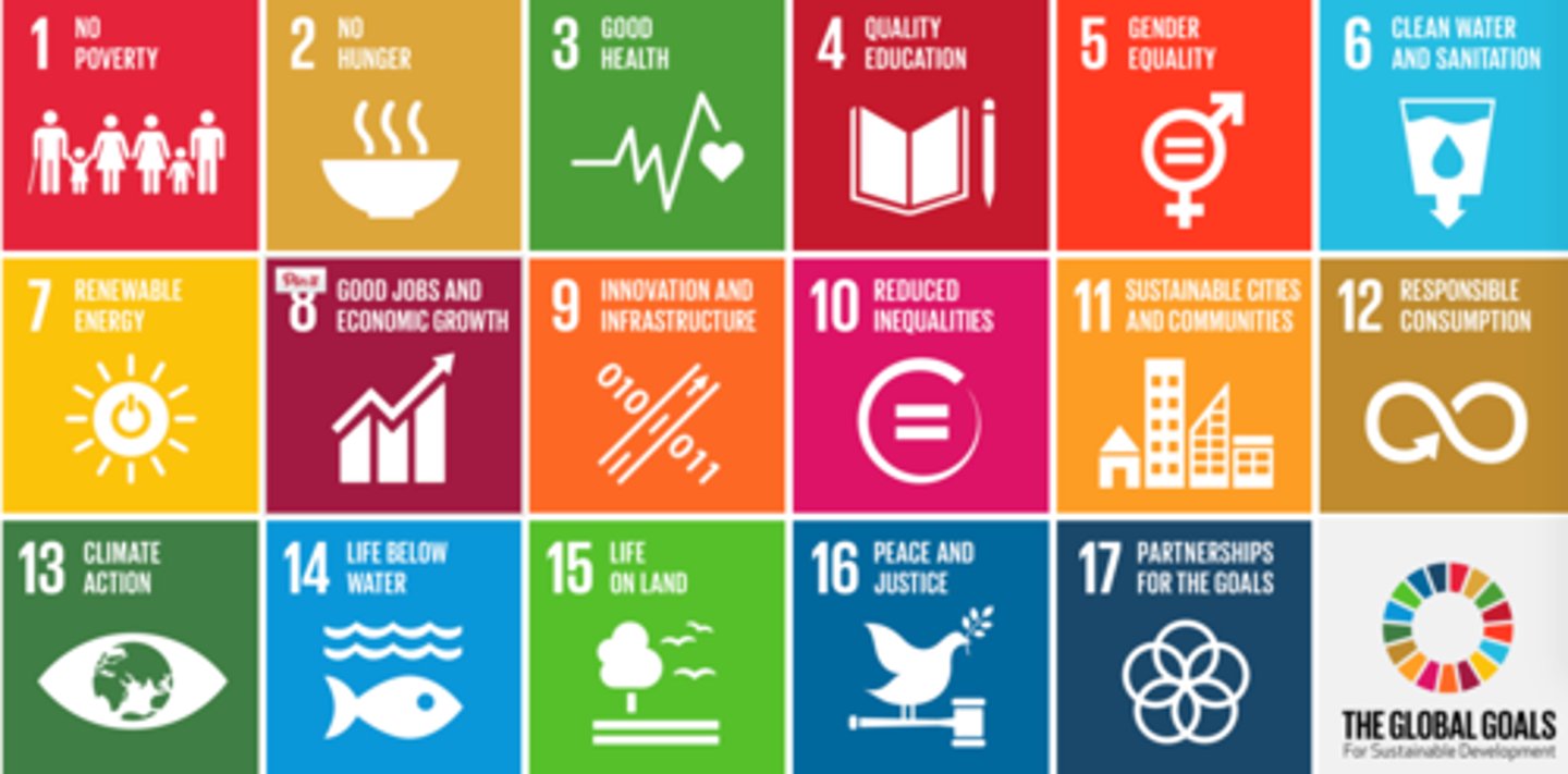 <p>17 goals, examples: no poverty, zero hunger, good health and well being, quality education and WATER AND SANITATION</p>