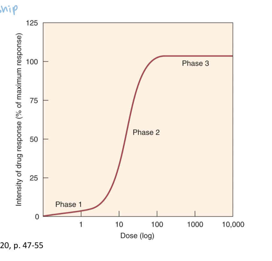 <p>what is phase 1 of the graded dose response curve?</p>