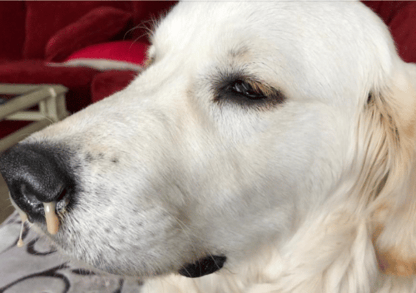 <p>what is this discharge called?</p>