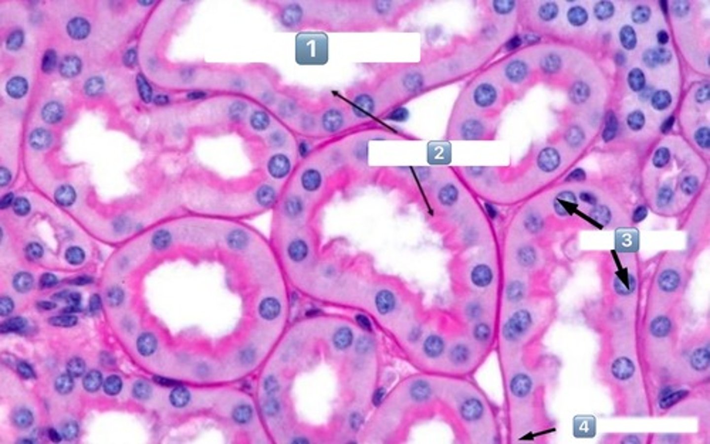 <p>1</p>