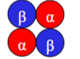 <p>(α₂β₂) – adult haemoglobin.</p>