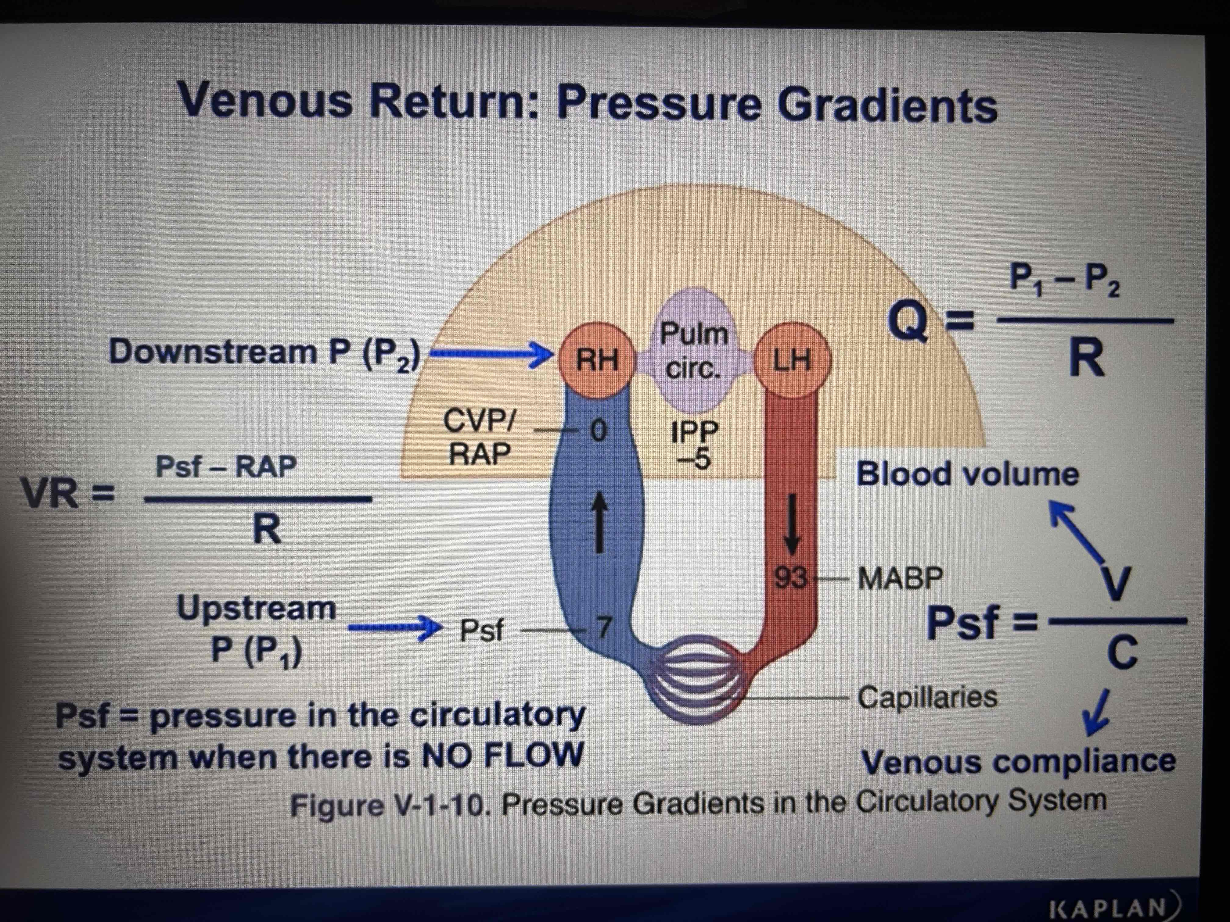 <ol><li><p>Determines preload</p></li><li><p>Pressure flow resistance</p></li><li><p>RAP is downstream pressure for VR, mean systemic filling pressure (Psf) - upstream pressure</p></li><li><p>Increase in blood volume increases Psf and VR</p></li><li><p>Decrease in blood volume decreases Psf and VR</p></li><li><p>Decrease in venous compliance (sympathetic stimulation, muscle pump) increases Psf and VR</p></li><li><p>Increase in compliance (sympathetic inhibitions, venodilators, alpha block) decreases Psf and VR</p></li></ol>