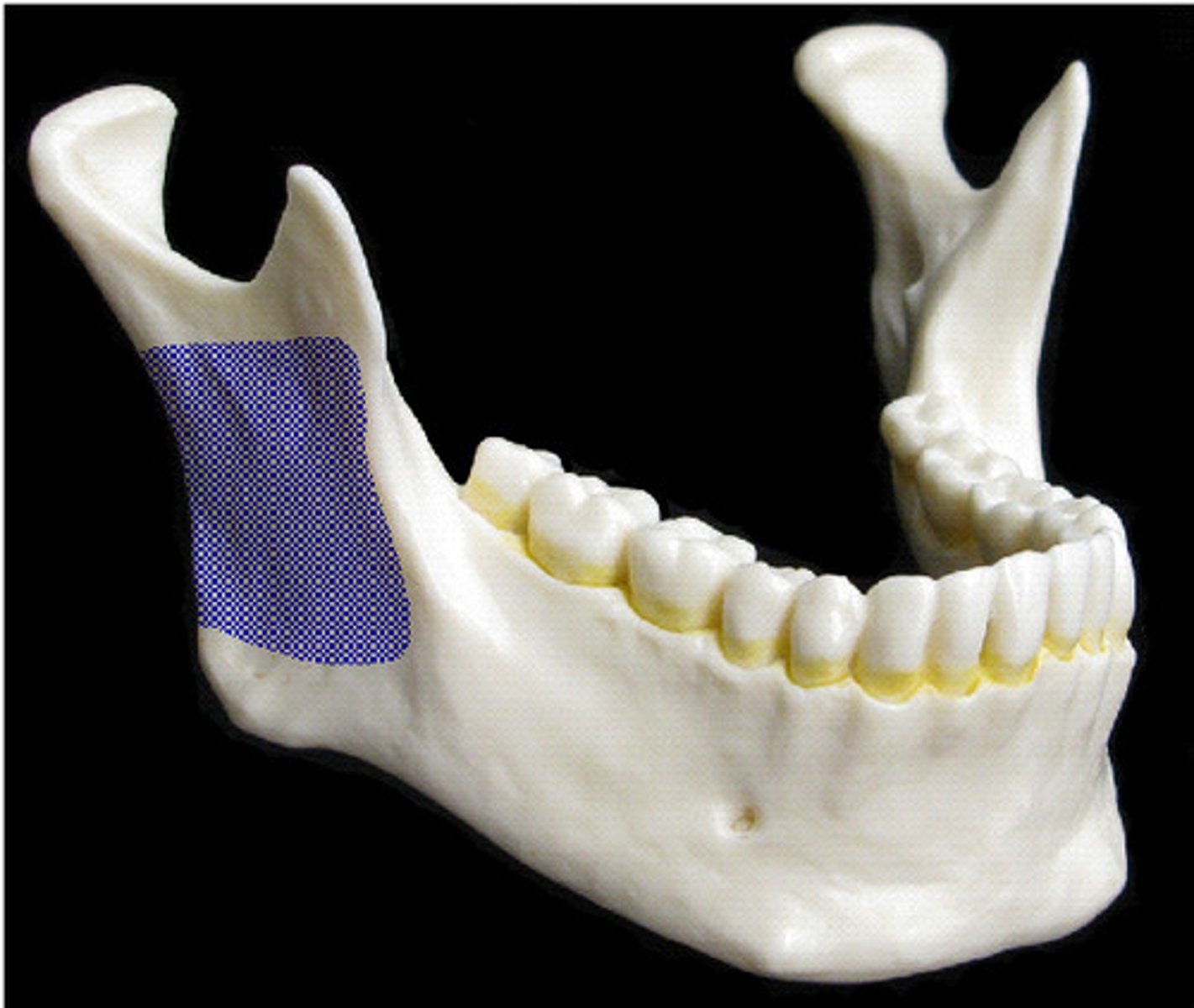 <p>What is this?</p>