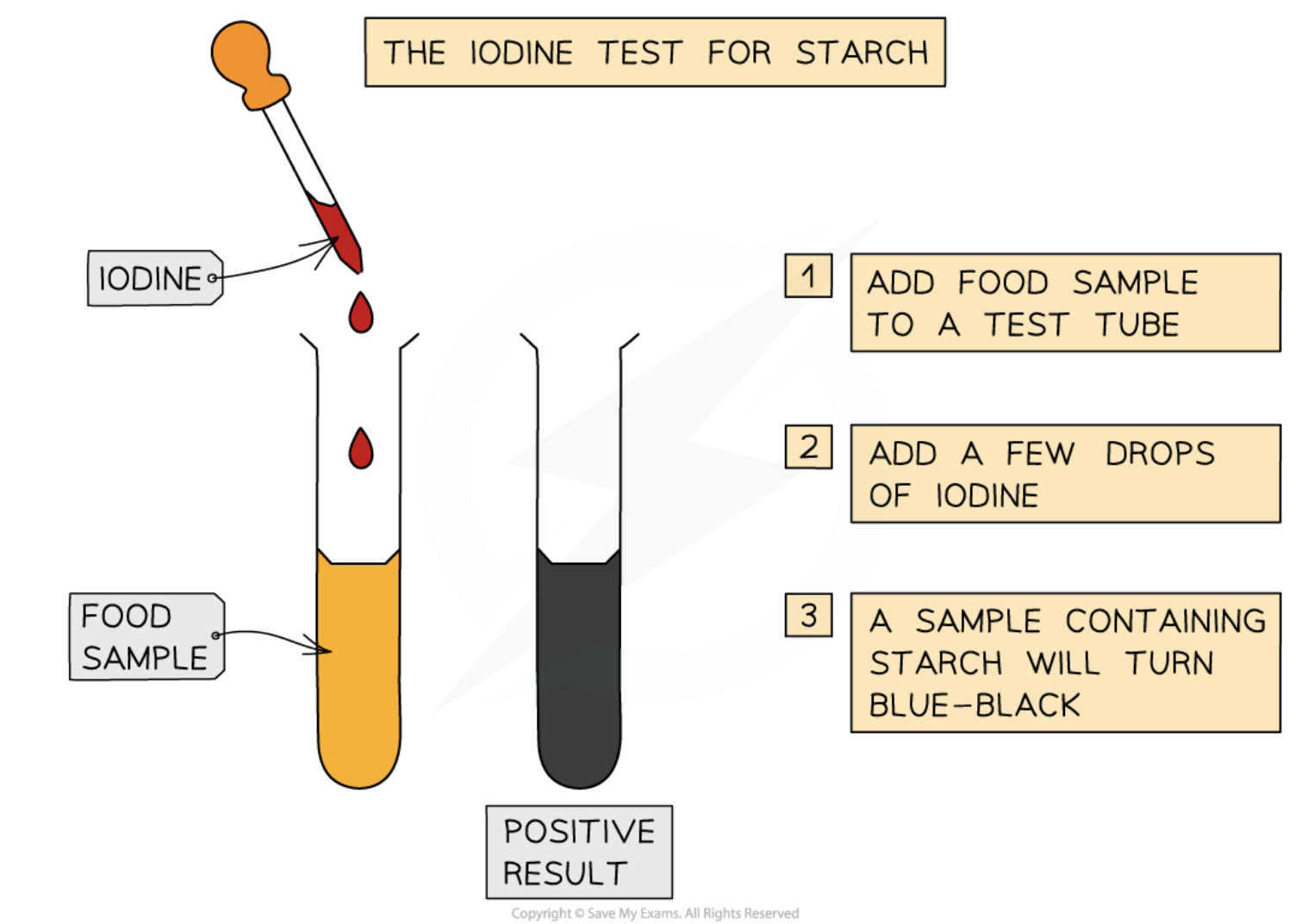 <ul><li><p>add drops of iodine solution to the sample</p></li><li><p>if a blue-black colour is quickly produced, starch is present</p></li><li><p>iodine solution is yellow brown(not present)</p><p></p><p>This test is useful in experiments for showing that starch in a sample has been digested by enzymes</p></li></ul><p></p>