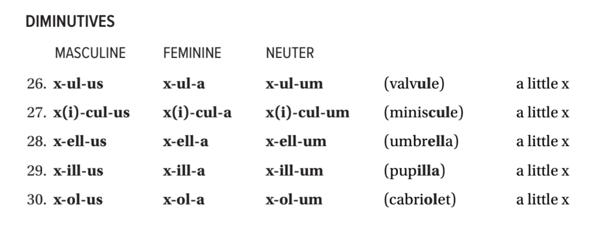 <p>a little x</p>