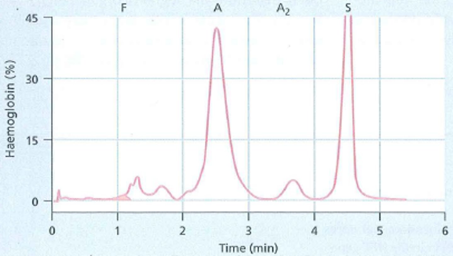 <p>Resolving Power: Depends on how many interaction sites exist between the protein and the column beads.</p><p>Fine Beads: More interaction sites → better separation (higher resolution), but slower flow.</p><p>HPLC (High-Performance Liquid Chromatography):</p><p>Uses very fine beads for high resolution.</p><p>Applies pressure to push liquid through quickly.</p><p>Results in sharper &amp; faster protein separation.</p>