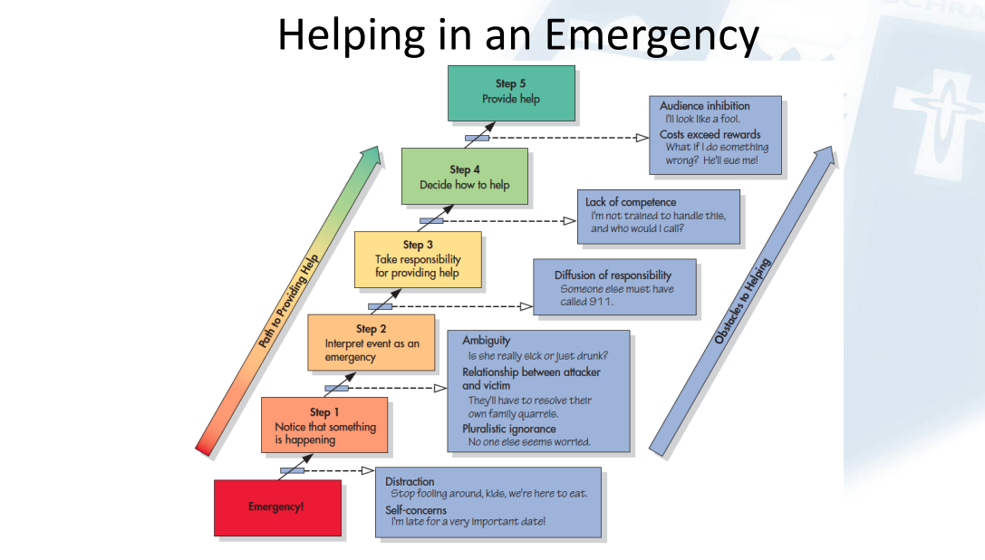 <p><strong>Noticing </strong>• The presence of others can sometimes divert attention from noticing a problem</p><p><strong>Interpreting </strong>• The more ambiguous a situation is, the less likely it is that bystanders will intervene • Pluralistic ignorance – The state in which people in a group mistakenly think that their own individual thoughts, feelings, or behaviors are different from those of the others in the group</p><p><strong>Taking Responsibility</strong> • Diffusion of responsibility – The belief that others will or should take the responsibility for providing assistance to a person in need</p><p><strong>Deciding How to Help and Providing Help </strong>• Audience inhibition – Uncertainty about competence to provide appropriate help – Reluctance to help for fear of making a bad impression on observers – Reluctance to break perceived norms that promote minding one’s own business</p>