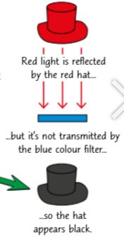 <ul><li><p>However, if the object was e.g. red (or any colour not made from blue light), the object would appear black when viewed through a blue filter. All of the light reflected by the object will be absorbed by the filter.</p></li><li><p>Filters that aren't for primary colours let through both the wavelengths of light for that colour AND the wavelengths of the primary colours that can be added together to make that colour.</p></li></ul><p></p>