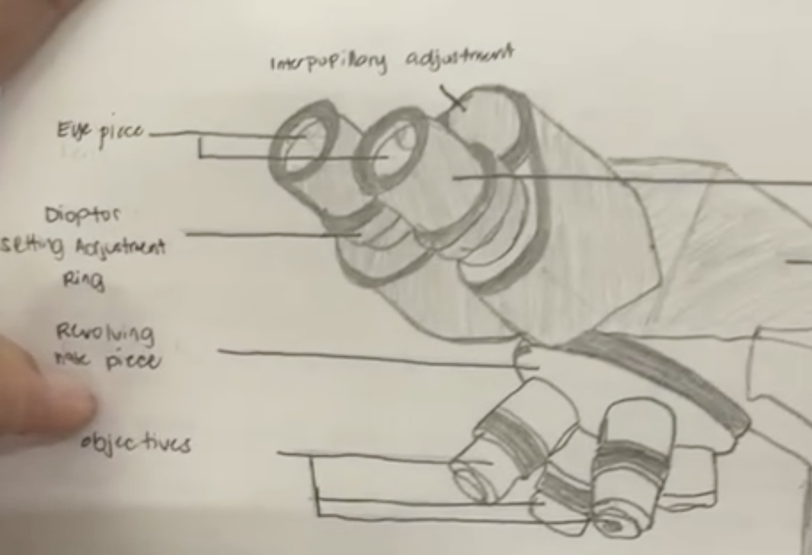 <p>Holds the objective lenses and allows switching between magnifications.</p>